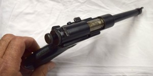 DSC_1374cs