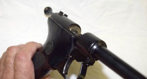 DSC_1383cs